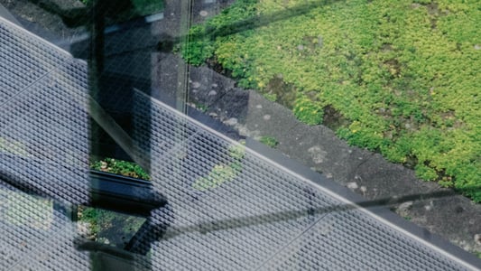 Updates uit het veld | AI | september 2026
