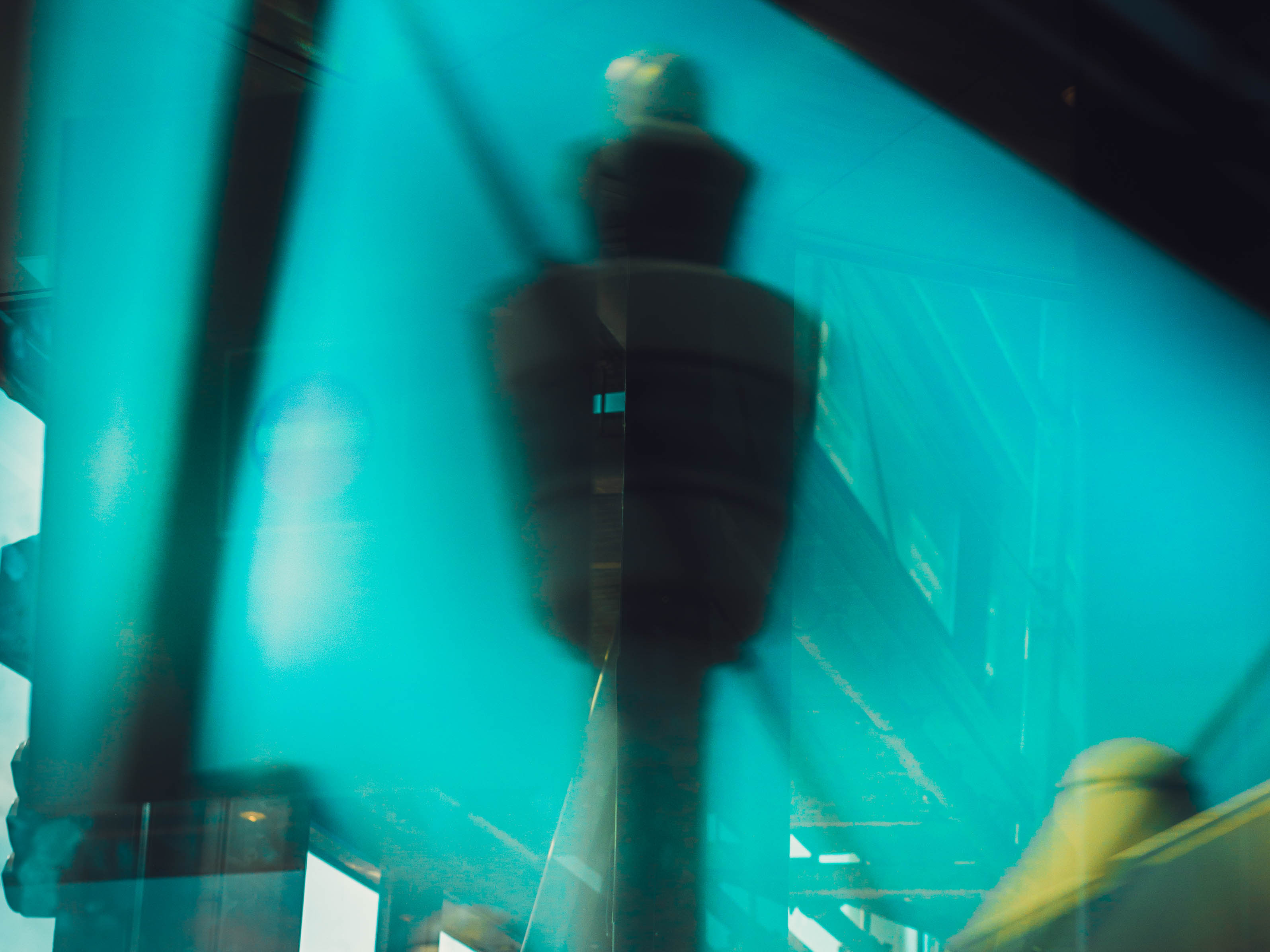 Data Protection Impact Assessment (DPIA)